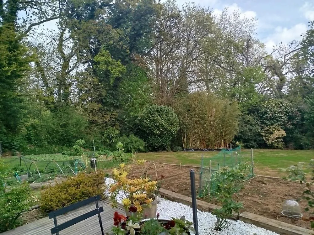 Les Hortensias Lannion Appartement